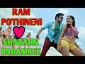 Video Song RAM POTHINENIE SHAZAHN PADAMSEE Love Song