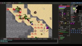 kina e 2 paladin caçando dragon - Medivia