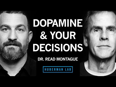 How Dopamine & Serotonin Shape Decisions, Motivation & Learning | Dr. Read Montague