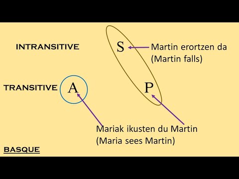 Morphosyntactic  Alignment - What is Ergativity?