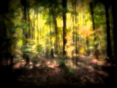 Estampie - Ben e Crudele