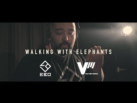 Ten Walls - Walking With Elephants (Viktor Mora & Electro Beat Orchestra EBO rework)