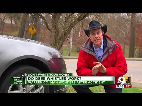 Do deer whistles prevent deer-car accidents?