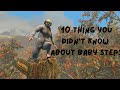 10 Thing You Didn T Know About Baby Steps