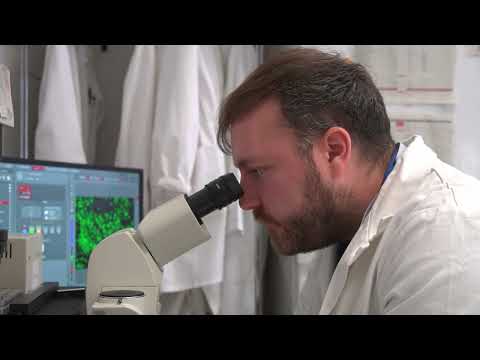 Medicina rigenerativa: una nuova terapia per combattere l'infiammazione cronica