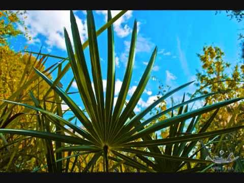 DJ Macro Live Mix 31-Mart-2011.