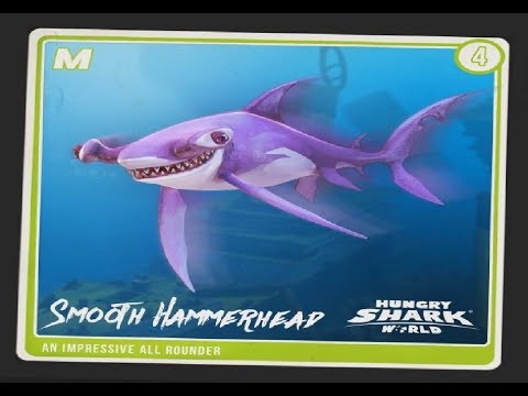 SmoothHammerhead Shark / Sand Shark Live Contest - Hungry Shark World