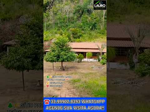 🌲🌾 SÍTIO PAVÃO 4.84HA TEÓFILO OTONI-MG 📍 💰 R$450.000.00 ☎️ 33999028393