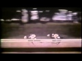Secretariat Tribute