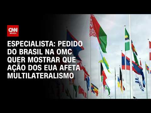 Pedido do Brasil na OMC quer mostrar que ação dos EUA afeta multilateralismo, diz especialista | WW