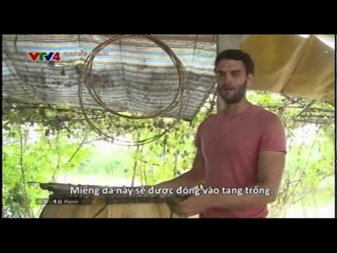 Culture Mosaic 31/01/2015