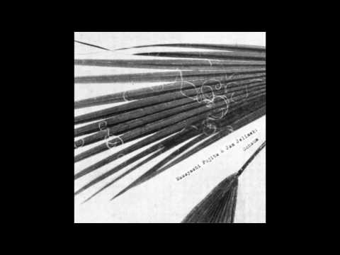 Masayoshi Fujita & Jan Jelinek - Schaum