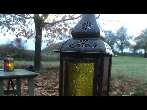 St. Martinslieder,Laternenlieder-Mix - Musikal. Begleitung für deinen Laternenumzug-siehe Beschreib.