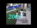 April 20 2003 A Lively Family Gathering