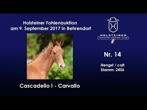 Nr. 14 v. Cascadello I - Carvallo