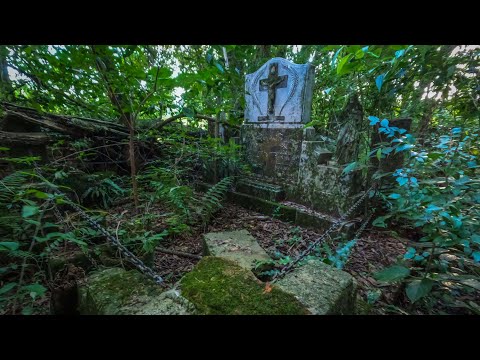 cemetery in the woods