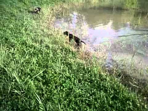 VID 00004 20120819 1854