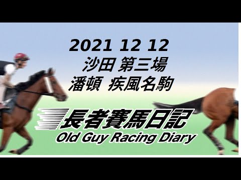 2021 12 12 沙田 第三場 潘頓 疾風明駒