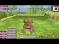 Puppy Luv : A New Breed Gameplay