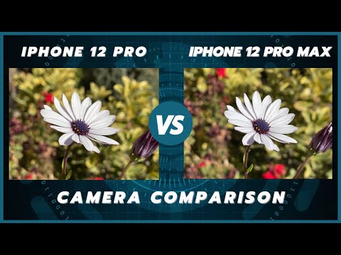 iPhone 12 Pro Max vs iPhone 12 Pro Camera Test Comparison | Is bigger better?