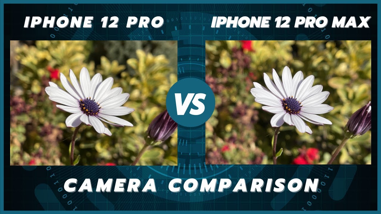 iPhone 12 Pro Max vs iPhone 12 Pro Camera Test Comparison | Is bigger better?
