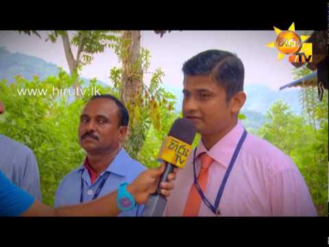 Hiru TV