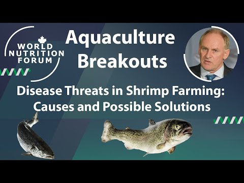 WNF 2016 Aquaculture Breakouts: 05 Disease Threats in Shrimp Farming: Causes and Possible Solutions