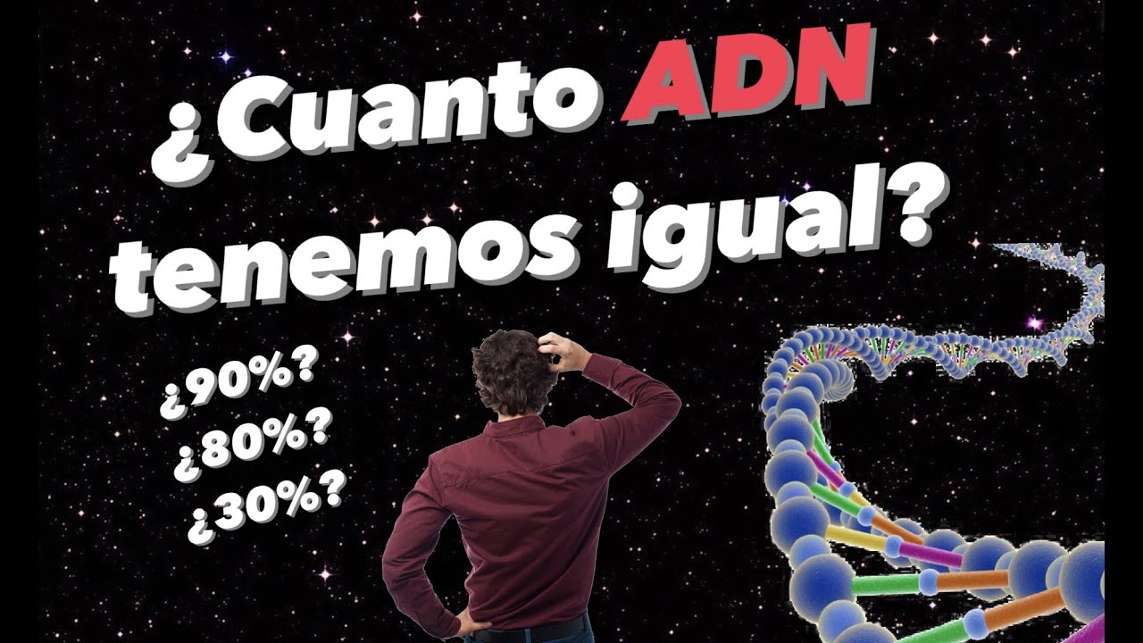 🧬¿Cuánto PORCENTAJE de ADN tenemos diferente a los demás? 🧬, Cuánto ADN tenemos igual a los animales
