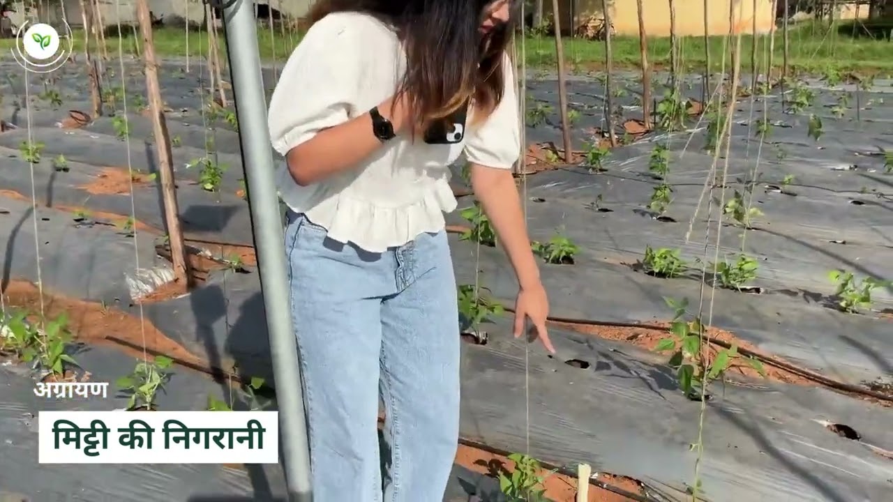 अग्रयान सेंसर आधारित सिंचाई और उर्वरक स्वचालन| Agrayan Irrigation and Fertigation Automation