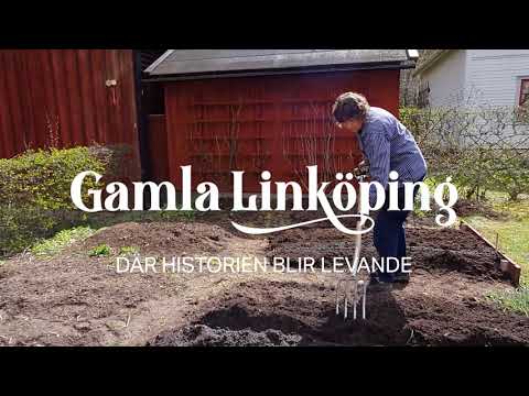 Lilla odlarskolan, del 5. Potatis & bondbönor