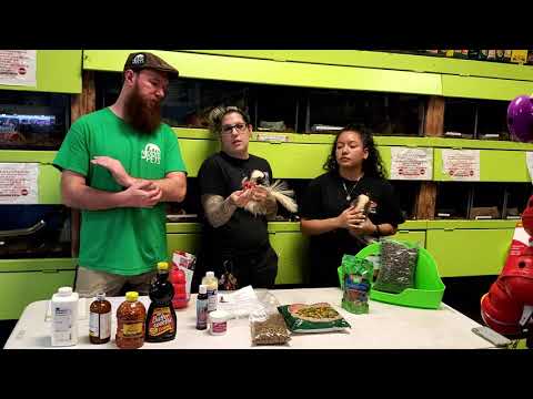 NJ Exotic Pets Skunk Care Info