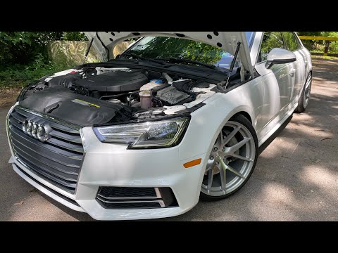 1 Year Ownership Review 2018 Audi A4 !