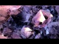 Troels Abrahamsen - End Scene (WHT) 