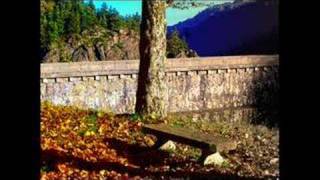 refugee melissa etheridge