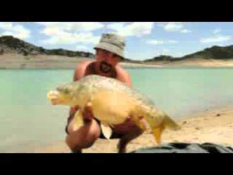 pêchez la carpe en Tunisie grâce à Eden Fishing Tunisia