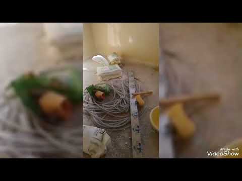 #አል ሀሞዱ ሊላየ አስር ዓመት የልየልው ጤት