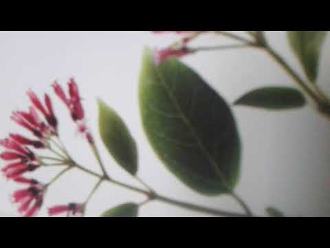 Hymn do miłości Ojczyzny - Ignacy Krasicki