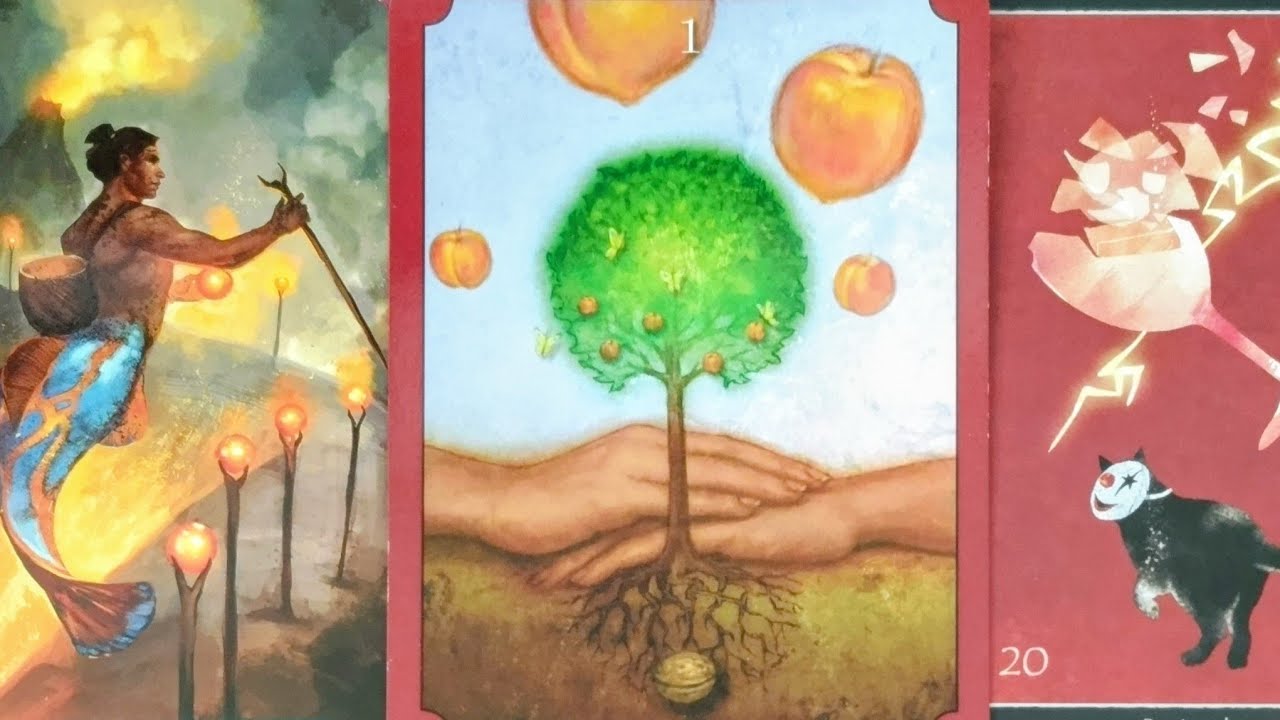 🔑のお金が足りない発言‼️🍂宮家は何に使う金が足りなかったのか⁉️✨️🔮カードリーディング