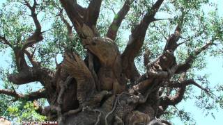 Tree of Life (Walk-Through) Disney&#39;s Animal Kingdom - Walt Disney World Orlando