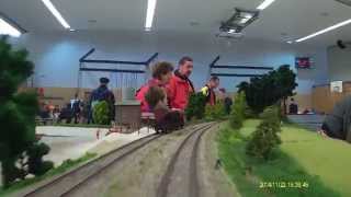 preview picture of video 'Video Fahrt auf der Segmentanlage Bhf Roding der Modellbahnfreunden Regental 2014'