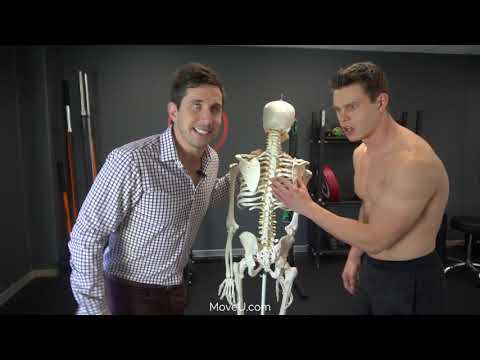 Rippenentspannung – Ist Ihnen eine Rippe herausgerutscht? Dann stecken Sie sie wieder rein! – MoveU