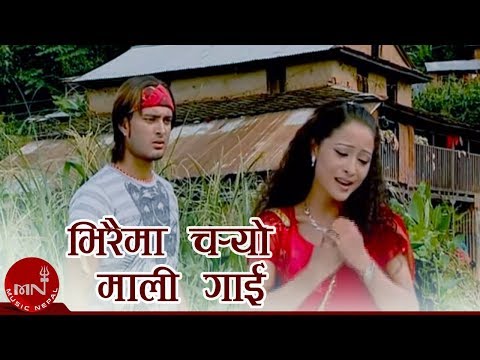 Nepali Lok Dohori Song | Viraima Charyo Mali Gai - Khuman Adhikari and Devi Gharti