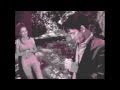 Negativland: Backstage Pass