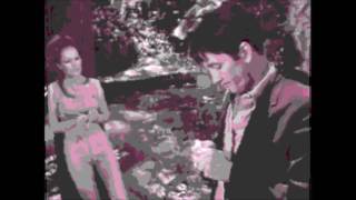 Negativland: Backstage Pass