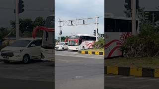 Download lagu Enak banget bus satu ini dilihatnya. Happy Bus mp3