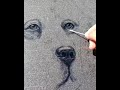 Chinese street artist draws dog in dust on car using cotton bud