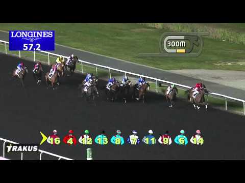 01.02.2014 Meydan (Dubai-UAE) 4.Race Agriculture and Pest Control Division Trophy - Handicap 1.200 m
