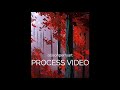 Process Misty Red Trees 10 1 19