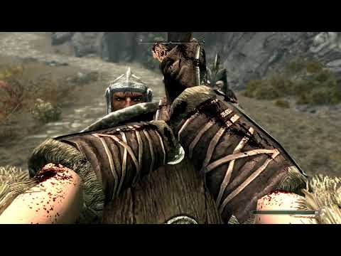 Requiem + Wildcat + Disparity = This (Skyrim)