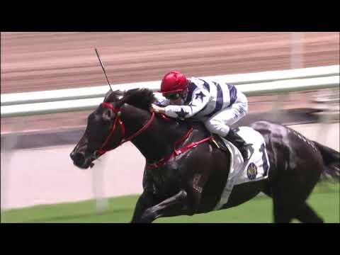 5/9/2021 (3) Packing Victory - Z Purton